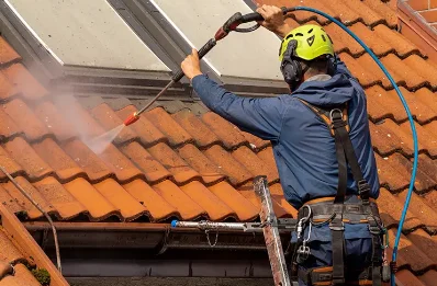 Démoussage et hydrofuge de toiture à Sainte-Fauste